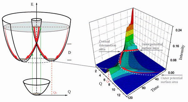 Conical intersection in the Jahn-Teller effect