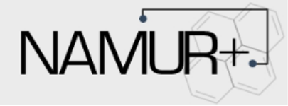 Namur+ Logo