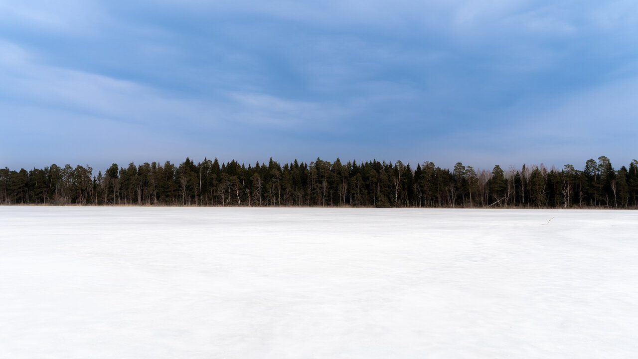 Eesti loodus, sinimustvalge,autor Martti Volt